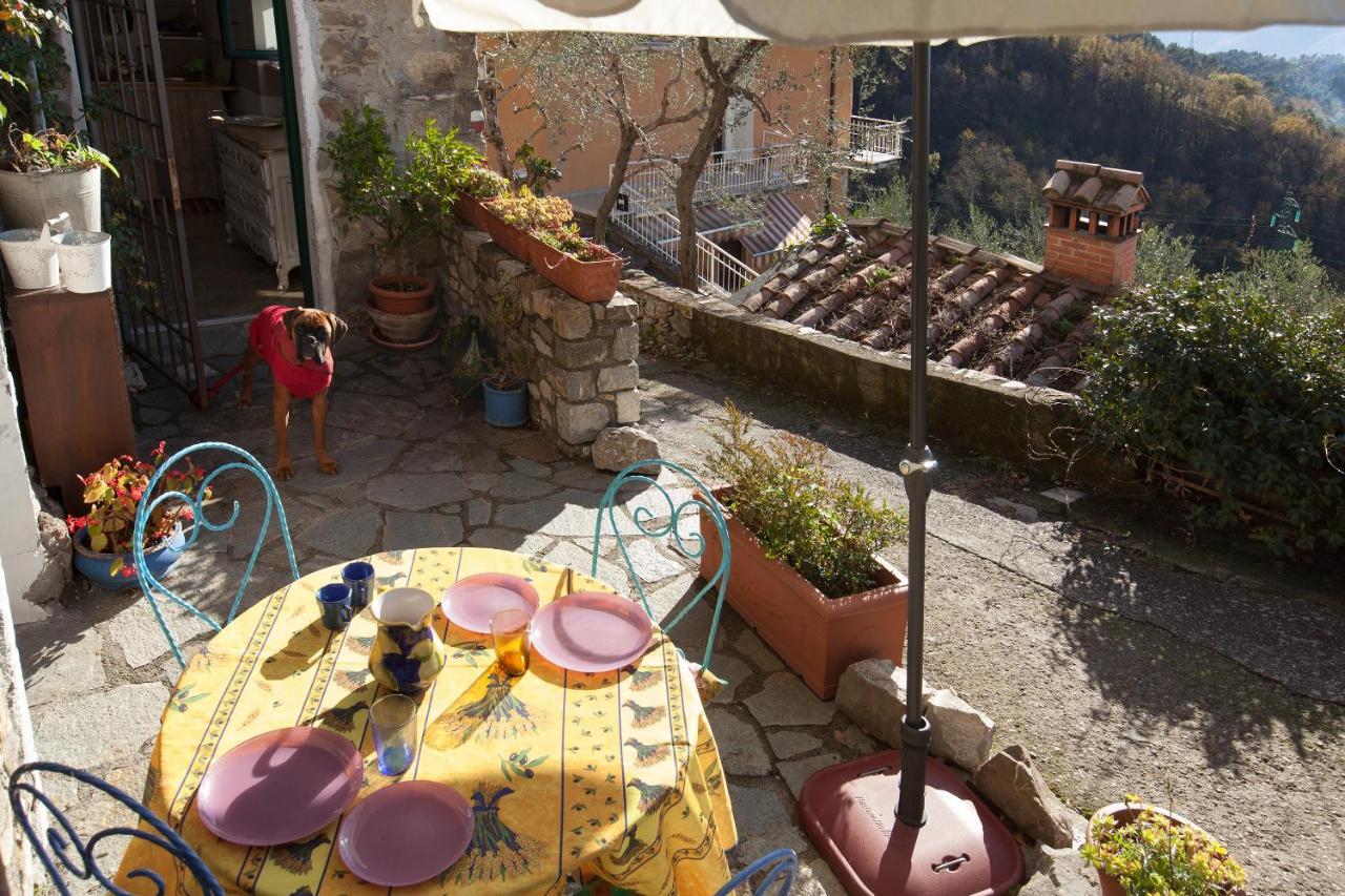 Chezcatherine Villa Sarzana Exterior photo